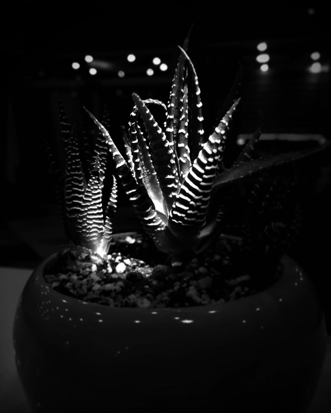 Heasn Mohamadi Gallerys