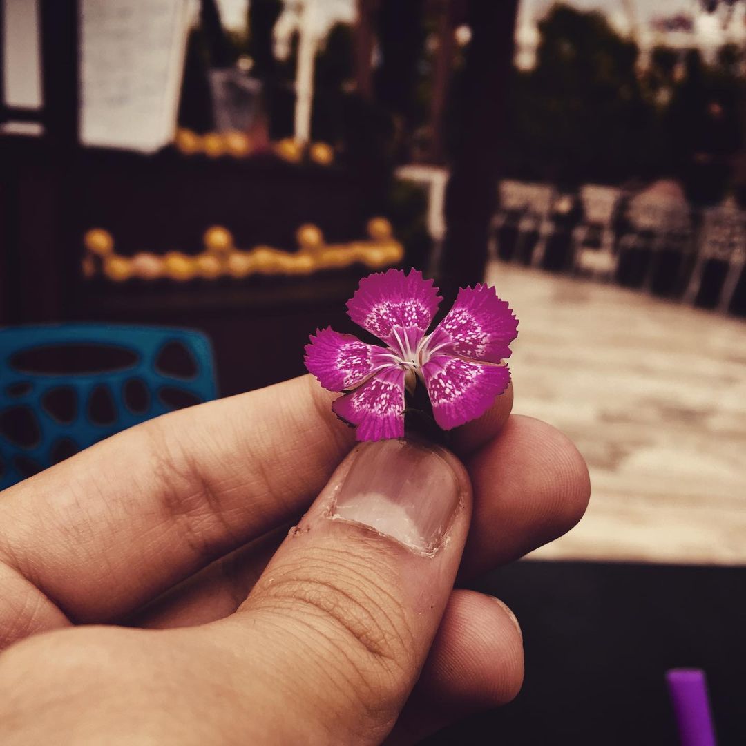 Heasn Mohamadi Gallerys