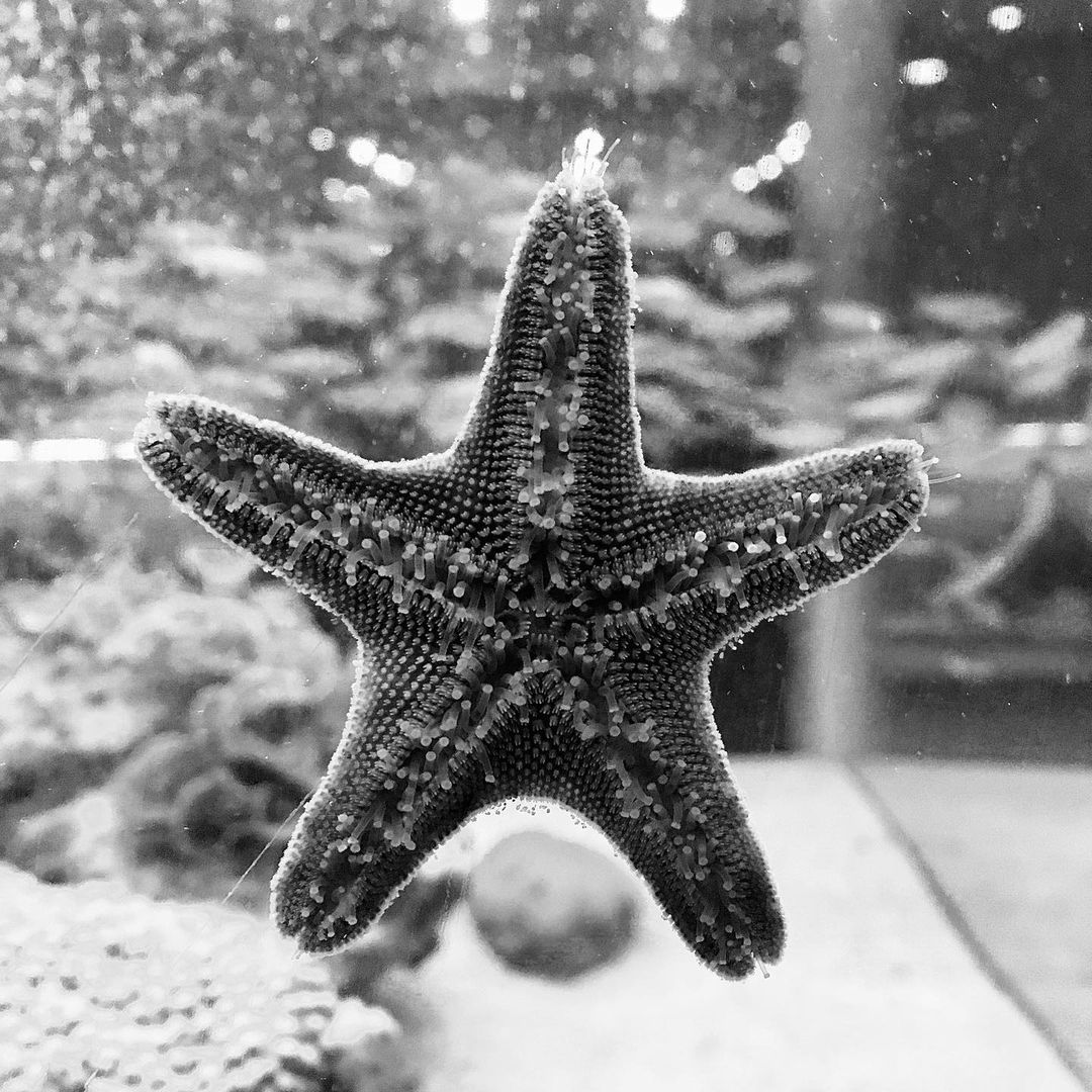 Heasn Mohamadi Gallerys